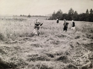 Покос в поле у храма. 19 августа 1957 г.